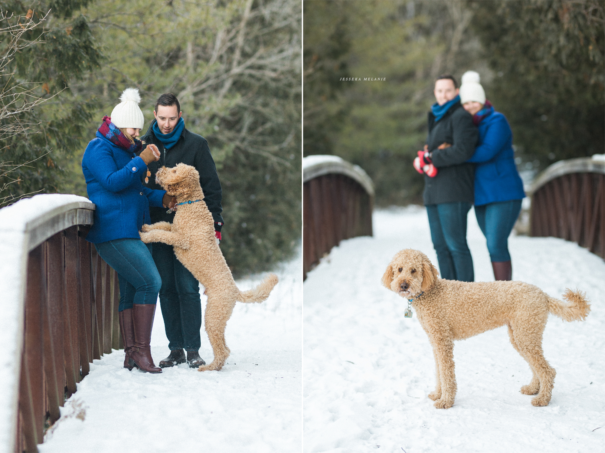 Jesseka Melanie Photography | Mount Albert Family Lifestyle Photography