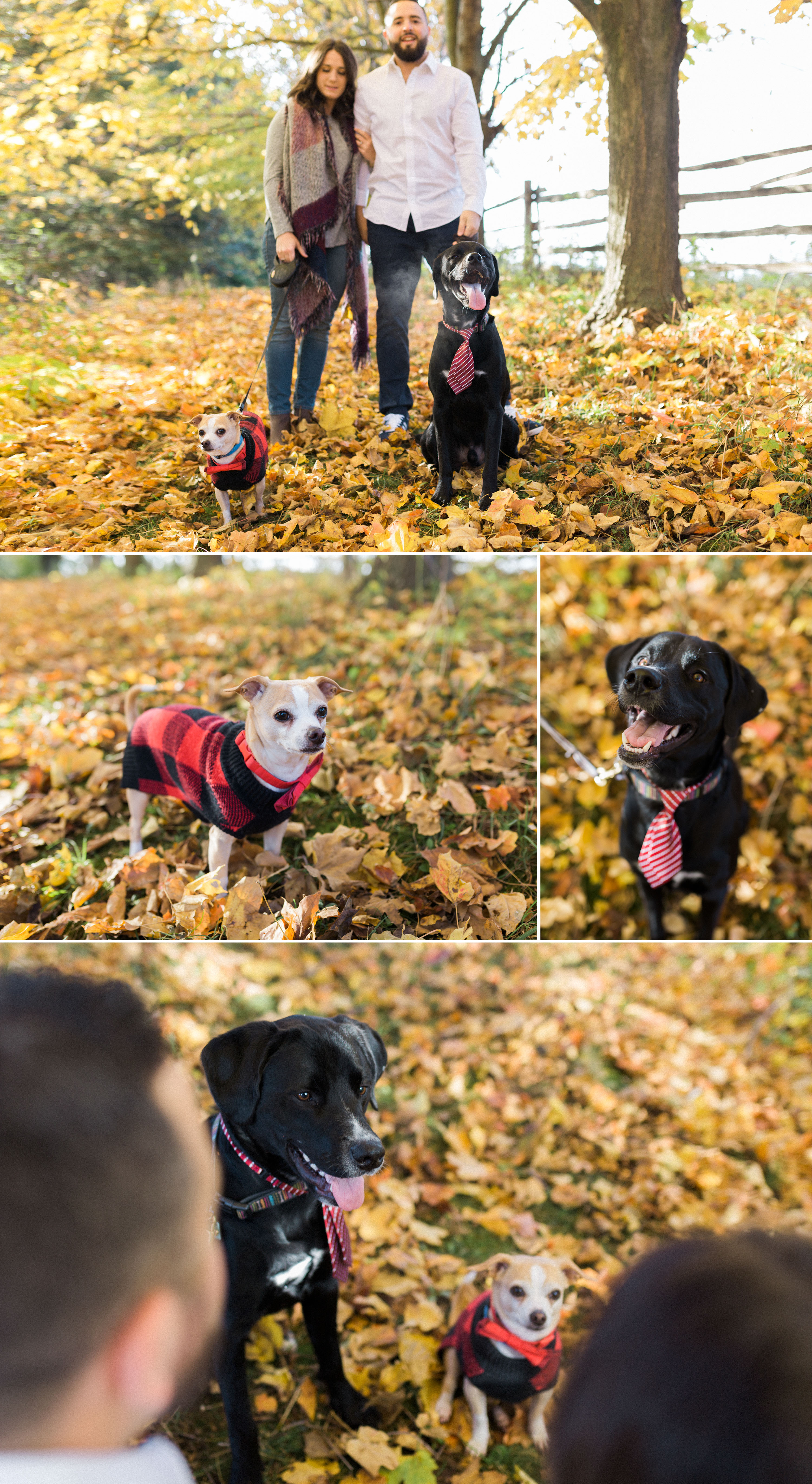 Jesseka Melanie Photography | York Durham Region Engagement Photographer